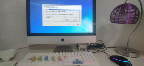 蘋果電腦還原設(shè)置后鼠標(biāo)消失的應(yīng)急解決方案